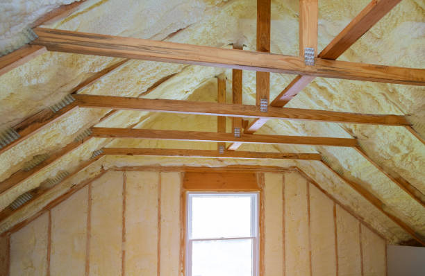 Best Eco-Friendly Insulation in Kingsley, MI