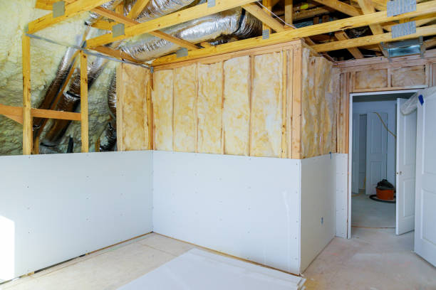 Best Eco-Friendly Insulation in Kingsley, MI